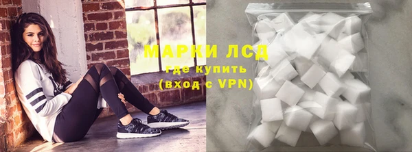 стафф Аркадак