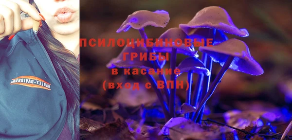 первитин Арсеньев