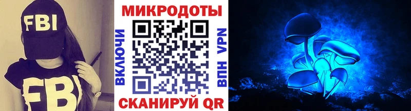 Купить закладки  Вилючинск  Псилоцибиновые грибы Psilocybine cubensis 